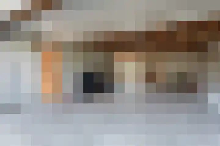 Leeuwetand 28 Heerenveen thumbnail 49