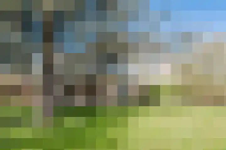 Leeuwetand 28 Heerenveen thumbnail 5