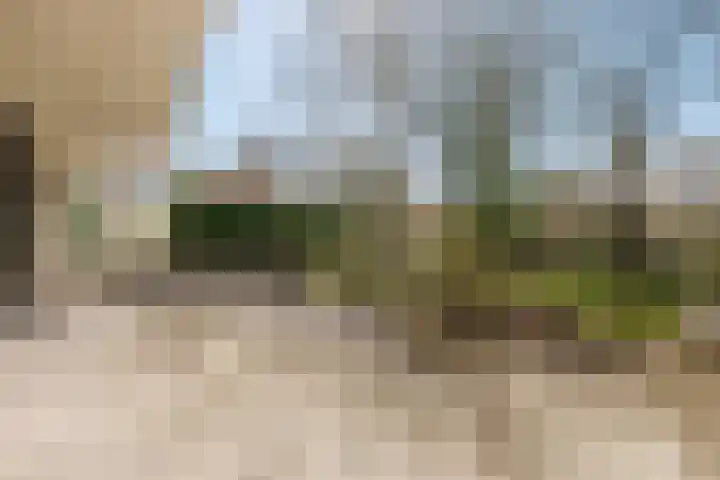 Leeuwetand 28 Heerenveen thumbnail 60