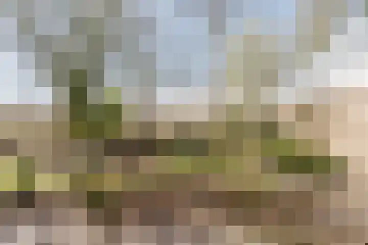 Leeuwetand 28 Heerenveen thumbnail 62