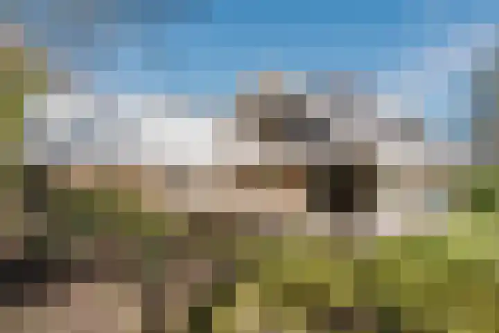 Leeuwetand 28 Heerenveen thumbnail 63