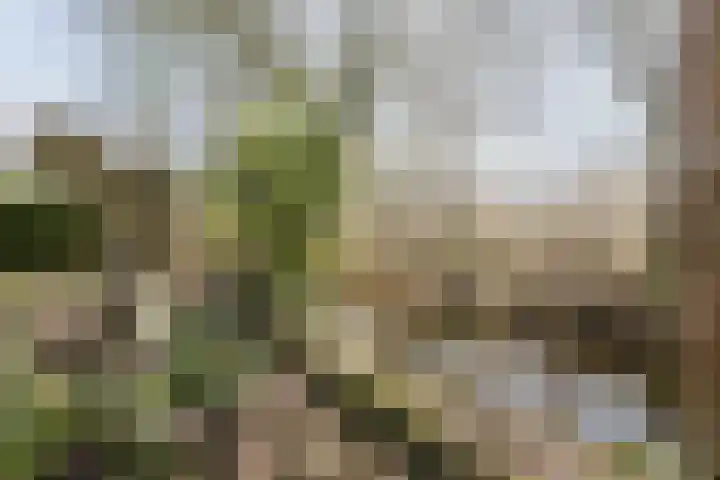 Leeuwetand 28 Heerenveen thumbnail 64