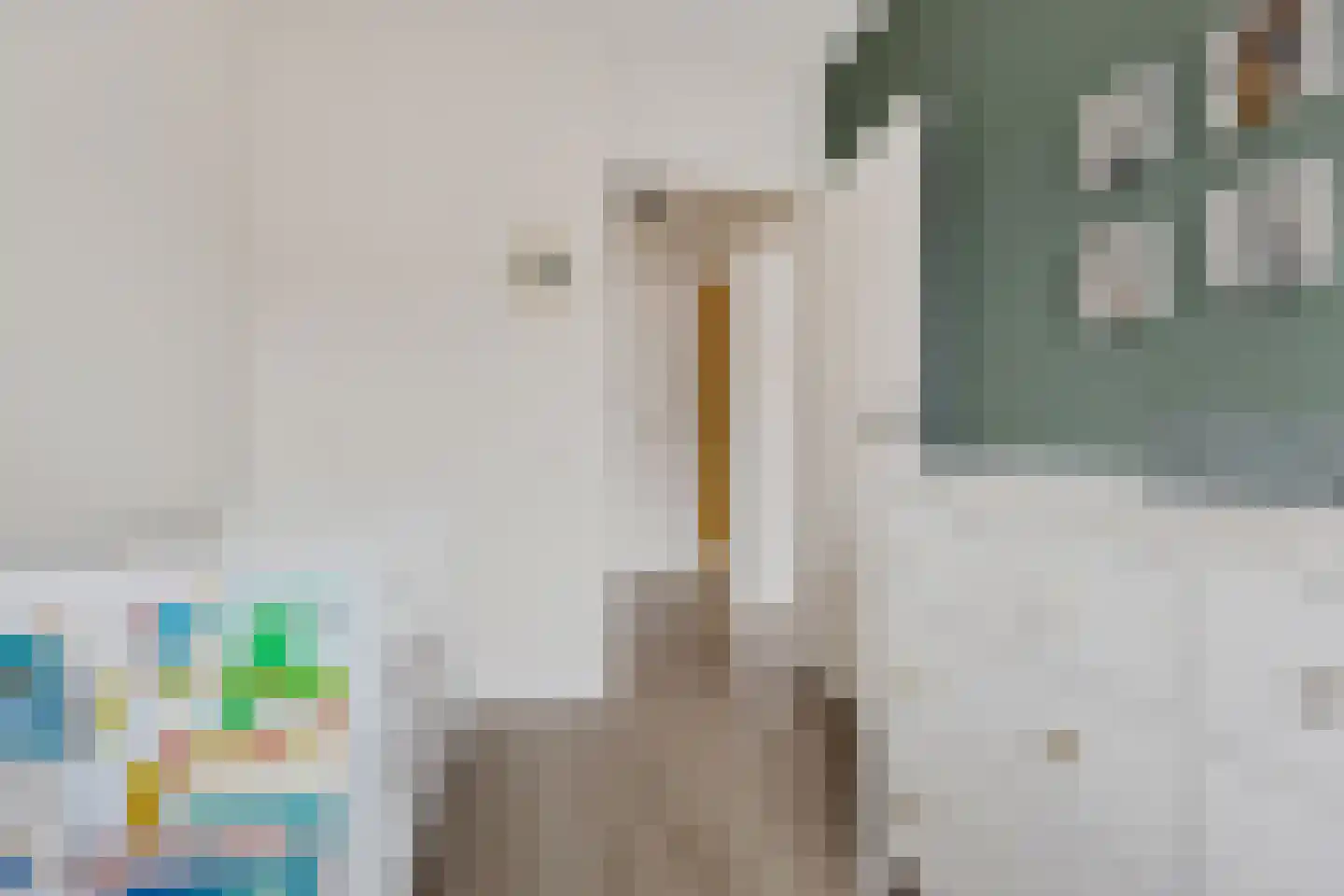 Leeuwetand 77 Monnickendam thumbnail 37