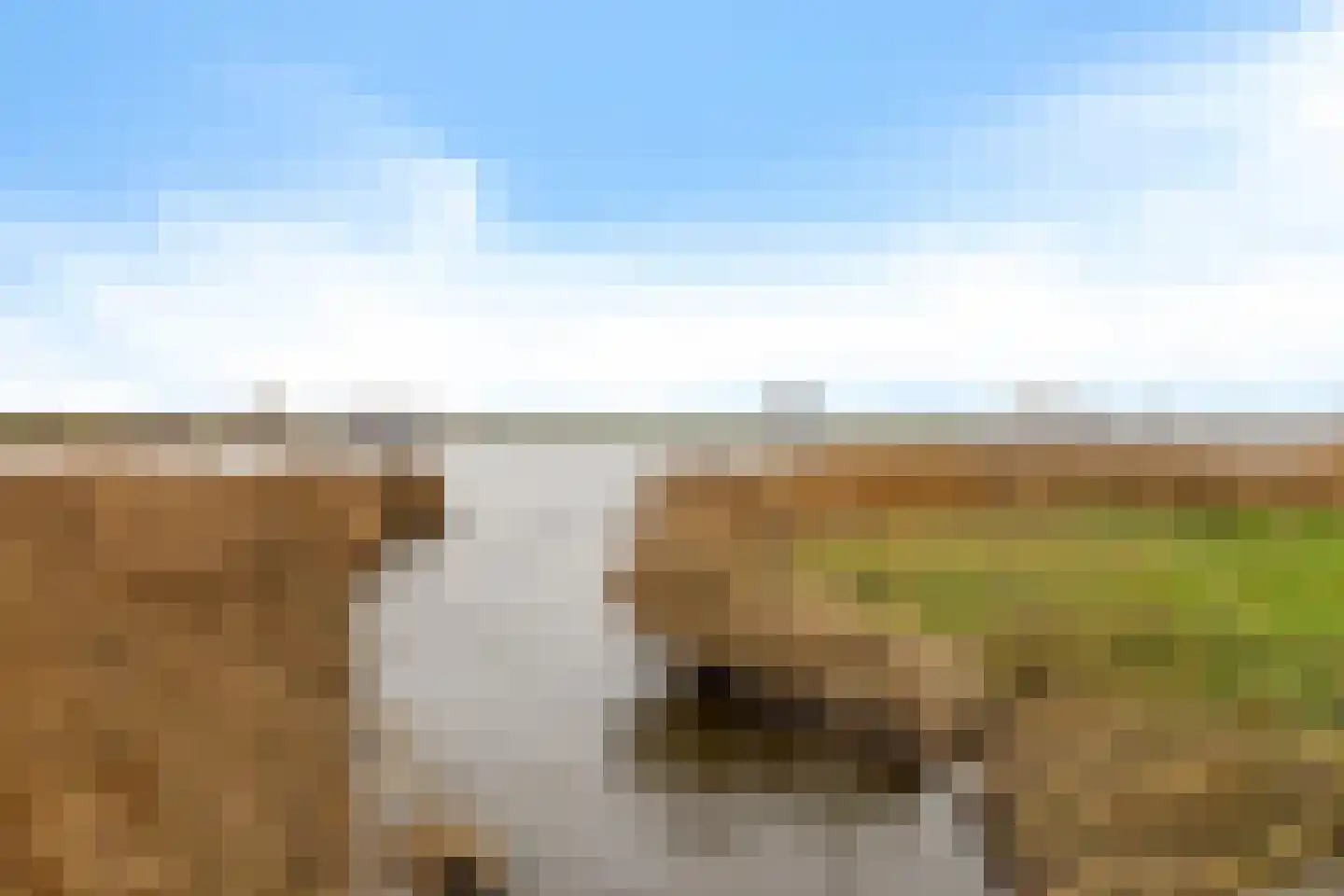 Leeuwetand 77 Monnickendam thumbnail 47