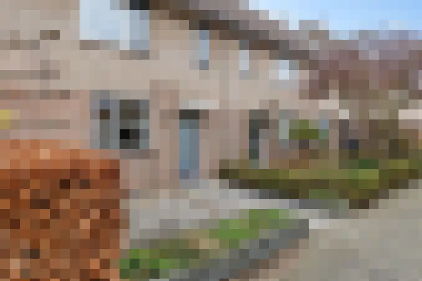 Leeuwetand 77 Monnickendam thumbnail 6