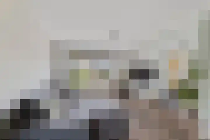 Leeuwkesdries 1 Galder thumbnail 11