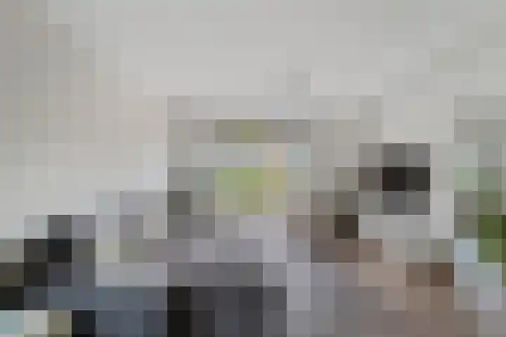 Leeuwkesdries 1 Galder thumbnail 12