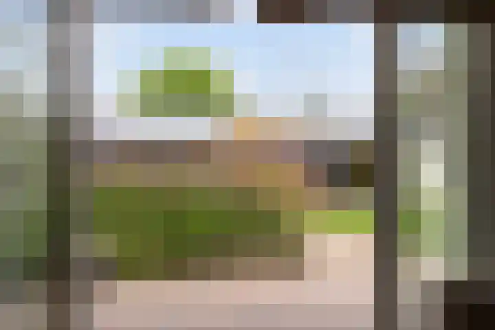 Leeuwkesdries 1 Galder thumbnail 14