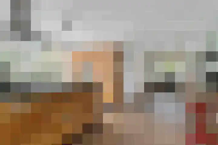 Leeuwkesdries 1 Galder thumbnail 18