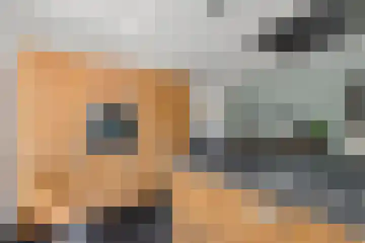 Leeuwkesdries 1 Galder thumbnail 19
