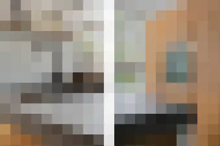 Leeuwkesdries 1 Galder thumbnail 20