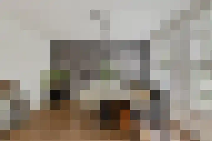 Leeuwkesdries 1 Galder thumbnail 22