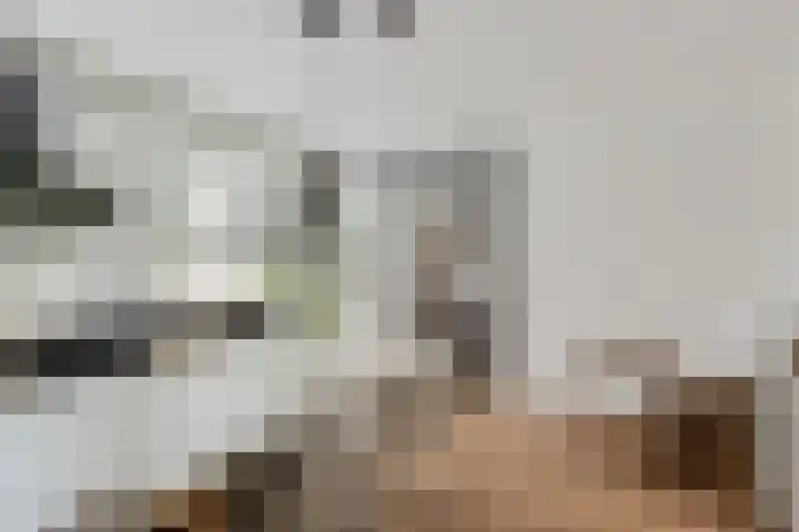 Leeuwkesdries 1 Galder thumbnail 23