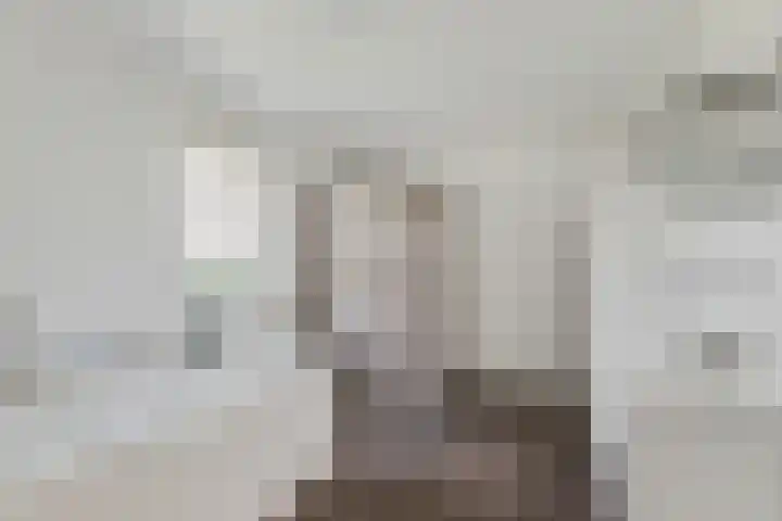 Leeuwkesdries 1 Galder thumbnail 26