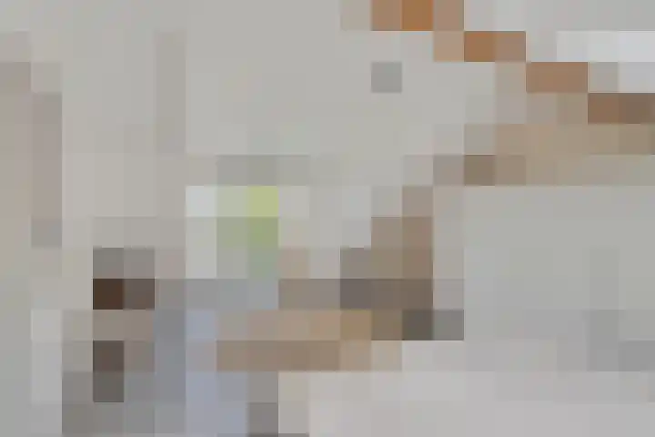 Leeuwkesdries 1 Galder thumbnail 30