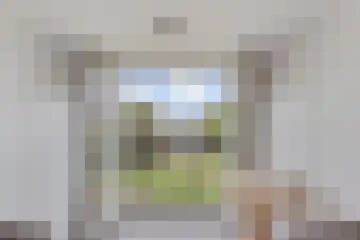 Leeuwkesdries 1 Galder thumbnail 31