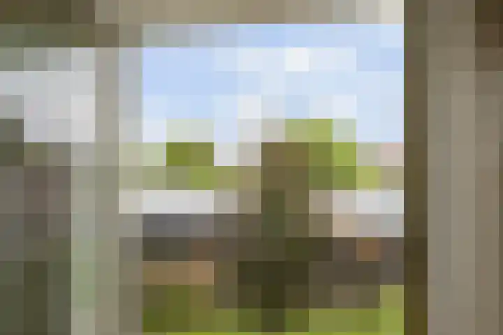 Leeuwkesdries 1 Galder thumbnail 32