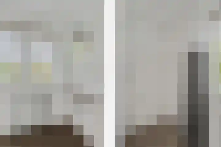 Leeuwkesdries 1 Galder thumbnail 34