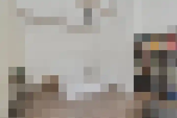 Leeuwkesdries 1 Galder thumbnail 37
