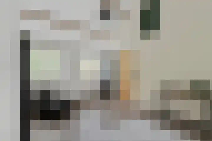 Leeuwkesdries 1 Galder thumbnail 38