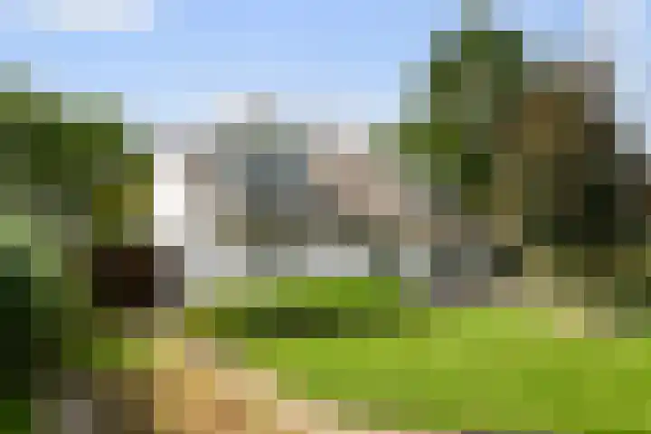 Leeuwkesdries 1 Galder thumbnail 39