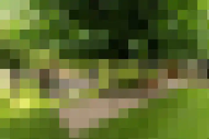 Leeuwkesdries 1 Galder thumbnail 4