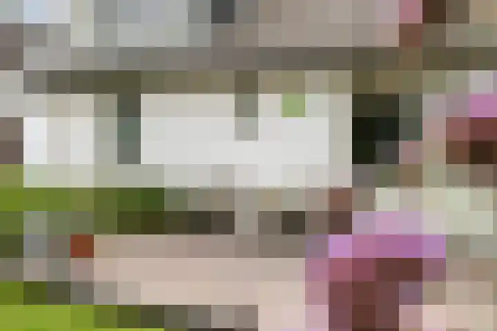 Leeuwkesdries 1 Galder thumbnail 40
