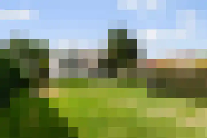 Leeuwkesdries 1 Galder thumbnail 41