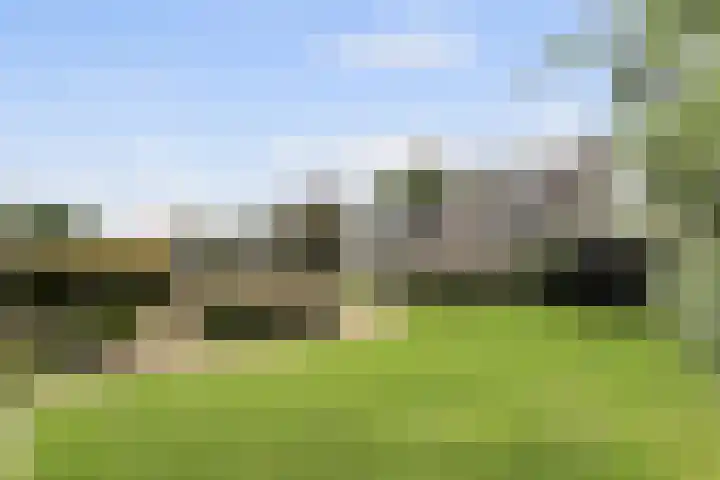Leeuwkesdries 1 Galder thumbnail 42