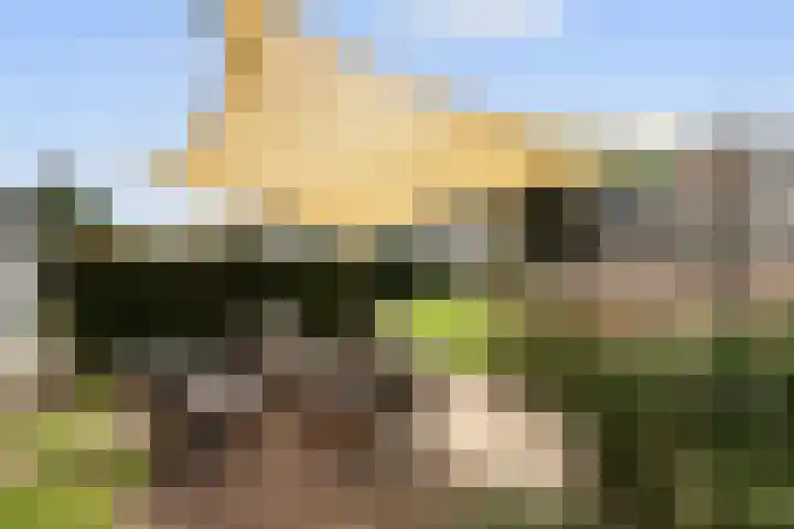 Leeuwkesdries 1 Galder thumbnail 44