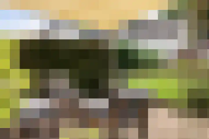 Leeuwkesdries 1 Galder thumbnail 45