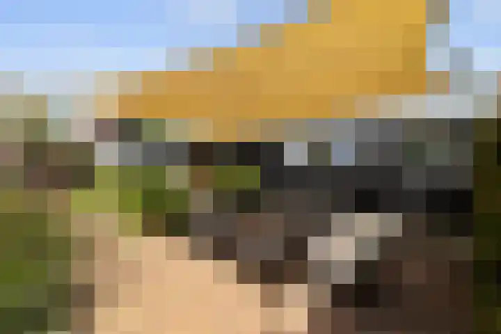 Leeuwkesdries 1 Galder thumbnail 46
