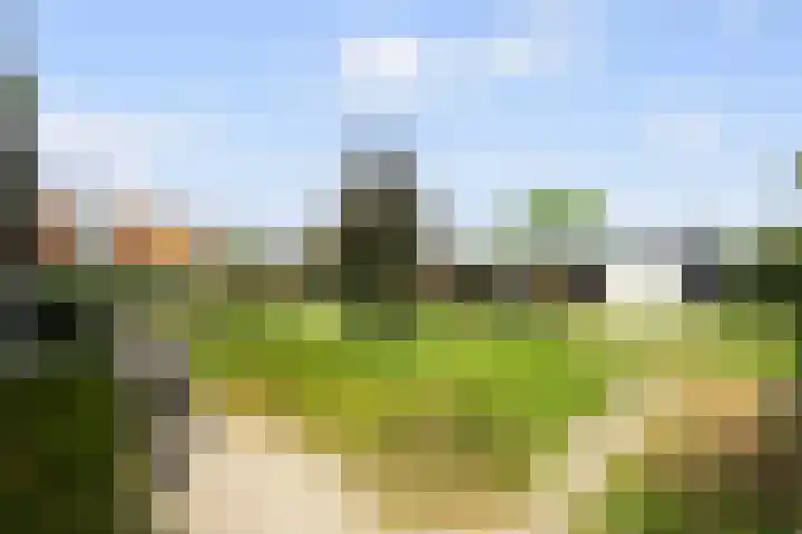 Leeuwkesdries 1 Galder thumbnail 47