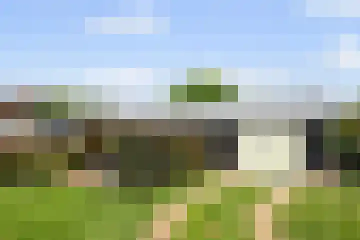 Leeuwkesdries 1 Galder thumbnail 48