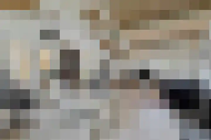 Leeuwkesdries 1 Galder thumbnail 50