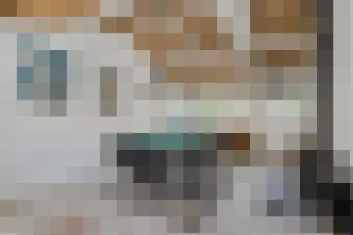 Leeuwkesdries 1 Galder thumbnail 52