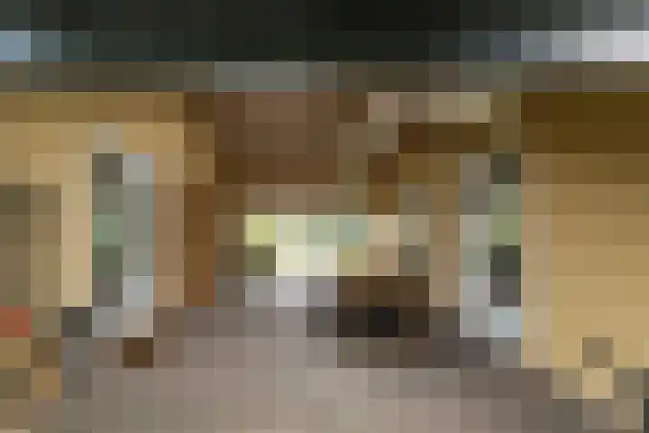 Leeuwkesdries 1 Galder thumbnail 53