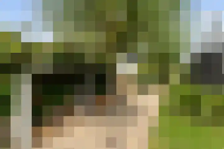 Leeuwkesdries 1 Galder thumbnail 54