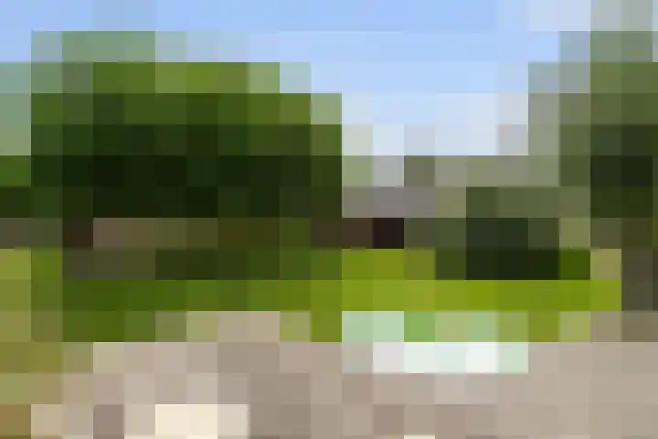 Leeuwkesdries 1 Galder thumbnail 55