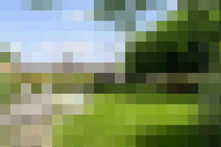 Leeuwkesdries 1 Galder thumbnail 56