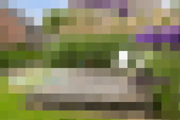 Leeuwkesdries 1 Galder thumbnail 57