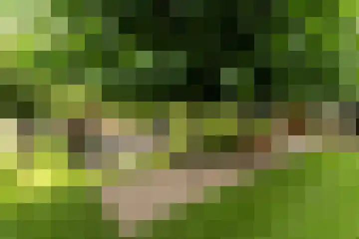 Leeuwkesdries 1 Galder thumbnail 58
