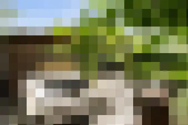 Leeuwkesdries 1 Galder thumbnail 59