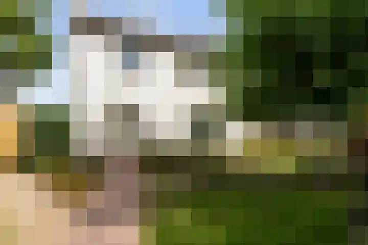 Leeuwkesdries 1 Galder thumbnail 6