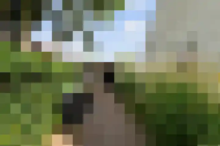 Leeuwkesdries 1 Galder thumbnail 66