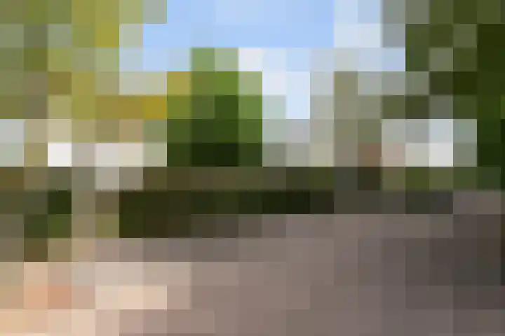 Leeuwkesdries 1 Galder thumbnail 68
