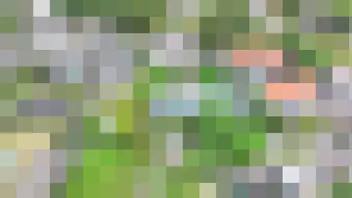Leeuwkesdries 1 Galder thumbnail 69