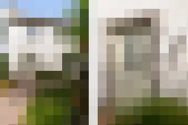 Leeuwkesdries 1 Galder thumbnail 7
