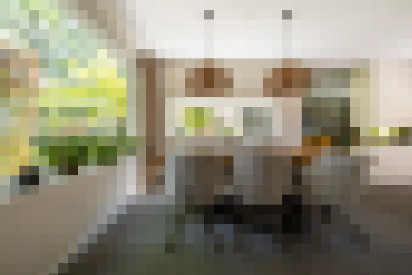 Leeuwkesdries 10 Galder thumbnail 12
