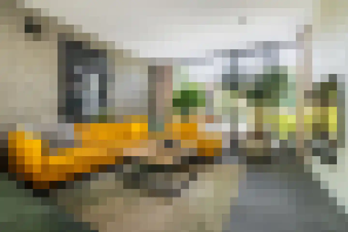 Leeuwkesdries 10 Galder thumbnail 15